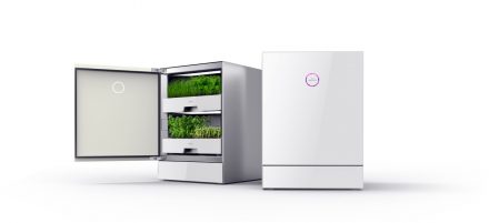 plantcube von agrilution