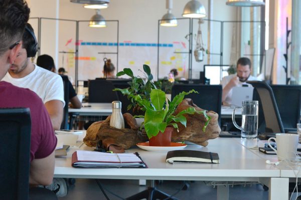 Wayra Office Space