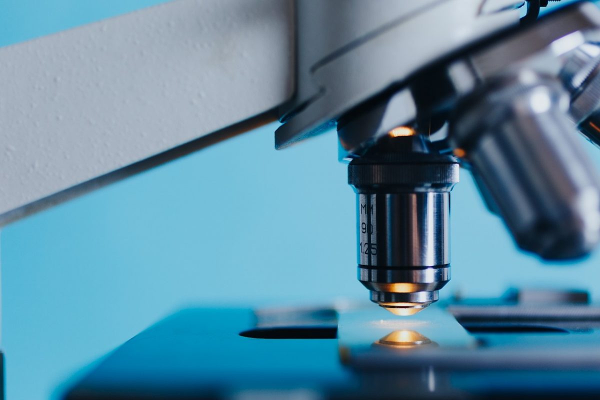 Deutscher Biotechnologie-Report 2019 Biotech