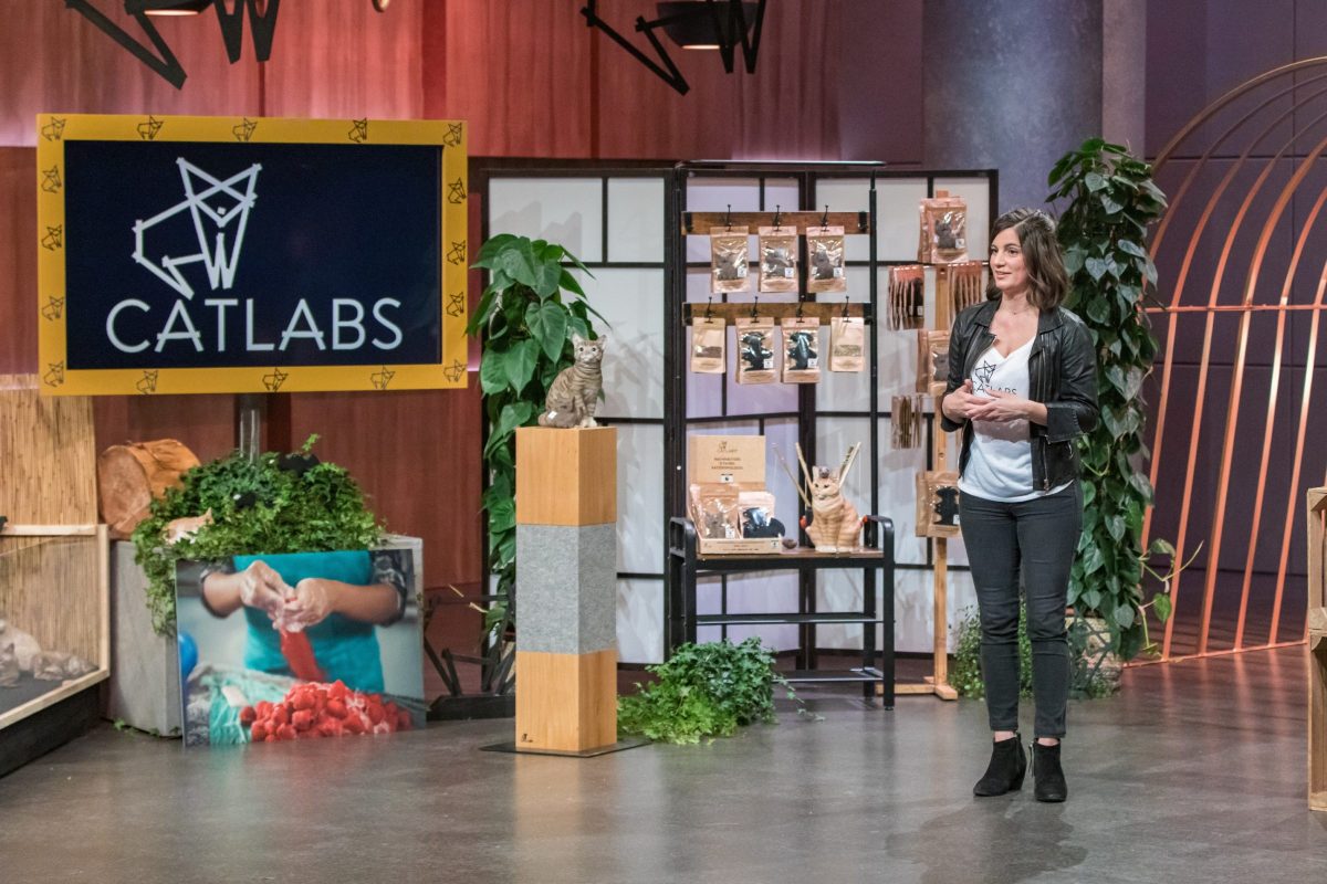 Catlabs-Gründerin Katharina Bickel in der 'Höhle der Löwen'
