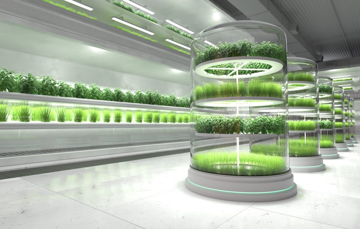 Sprind Biotech
